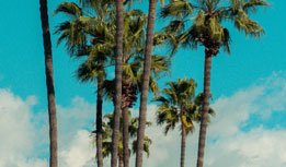 los angeles