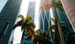 miami